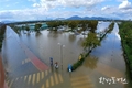 부산시, 태풍 '미탁'으로 낙동강 생태공원 주차장 50여 대 차량 침수 피해