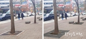 버려지는 라면 봉지 등 폐비닐로 만든 가로수보호판 새로 태어나 도로에 설치