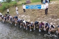 부산시, 올 한해 총 1,685만여 마리 수산종자 부산 앞바다에 방류