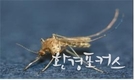 인천시, 일본뇌염 매개모기인 작은빨간집모기 올해 처음 발견