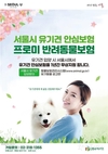 서울시, 유기동물 입양 활성화 위해 동물 안심보험·입양 선물·동물돌봄 교육 등 지원