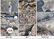 국립공원공단 해상‧해안국립공원 갯바위 생태휴식제