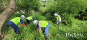 서울시, 5월부터 8월까지 <생태계 교란 동·식물 집중제거기간> 운영