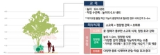 서울시, 도심의 열과 대기오염 차단효과 높은 가로수 식재 방안 마련