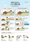 부산시, 활동량 늘어난 멧돼지 대비 <멧돼지 발견 시 상황별 행동요령> 숙지 당부