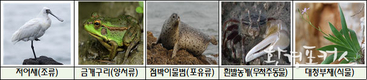 인천시, 멸종위기 야생생물 보호 위해 인천 깃대종 주요 서식지 5개소에 해설안내판 설치