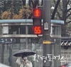 서울시, 시청 주변과 광화문 월대 앞 등 5개소에 <적색 잔여시간 표시 신호등> 설치