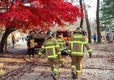 서울시, 백련산에서 산불진화 유관기관 합동훈련 실시하고 12월 15일까지 <산불방지대책본부> 운영
