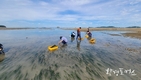 인천시, 인천의 갯벌과 해양수산 자원을 활용한 블루카본으로 탄소배출권 확보