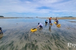 인천시, 인천의 갯벌과 해양수산 자원을 활용한 블루카본으로 탄소배출권 확보