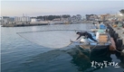 부산시, 2025년 어업규제완화 시범사업 선정으로 연안들망 금어기 조정 요구 해소