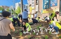 인천시, 가로수의 건강한 생육 위해 시민이 직접 참여하는 <가로수지킴이> 프로그램 참여자 모집