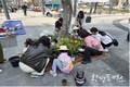 부산시, 대규모 장소에 일회성으로 진행하던 나무심기 행사를 구·군 자체 행사로 전환