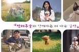 부산시, 전국 최초 반려동물 일상의 돌봄을 주제로 대시민 홍보 캠페인 전개