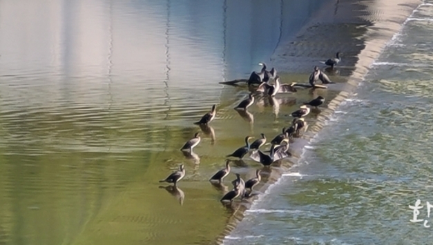 남원 람천 불법공사 적발…정부합동감사, 공무원 6명 징계·고발